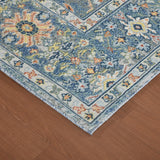 Amer Rugs BHM-7 Bohemian Transitional Bordered Area Rug