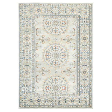 Amer Rugs BHM-8 Bohemian Transitional Bordered Area Rug