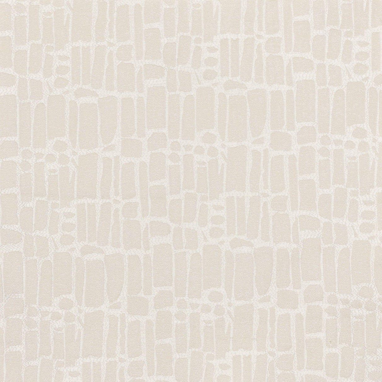 Eade's BILO-1-sample CHAMPAGNE