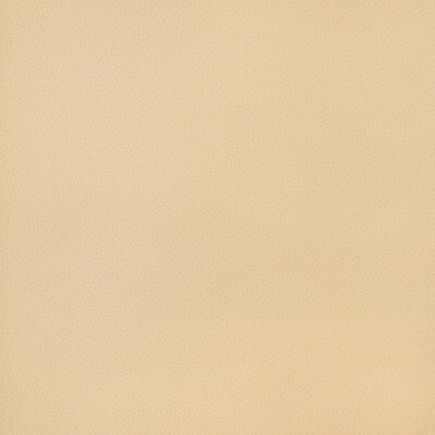 KRAVET DESIGN BIND.16.0 KRAVET DESIGN BIND-16 Fabric - FAUX LEATHER IV