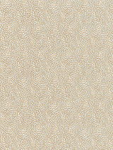 Scalamandre BI 00011234 CARIBOU FLURRY Fabric