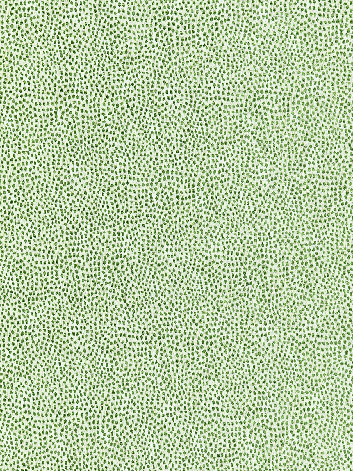 Scalamandre BI 00031234 LEAF FLURRY Fabric