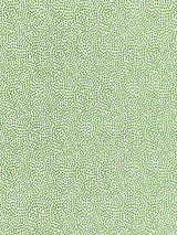 Scalamandre BI 00031234 LEAF FLURRY Fabric