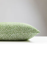Scalamandre BI 0003FLURRPILL FLURRY PILLOW - Pillow Collecti