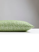 Scalamandre BI 0003LFLURPILL FLURRY LUMBAR PILLOW - Pillow C