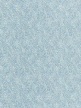 Scalamandre BI 00041234 CIEL FLURRY Fabric