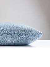 Scalamandre BI 0004FLURRPILL FLURRY PILLOW - Pillow Collecti