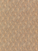 Scalamandre BI 00051234 FOX FLURRY Fabric