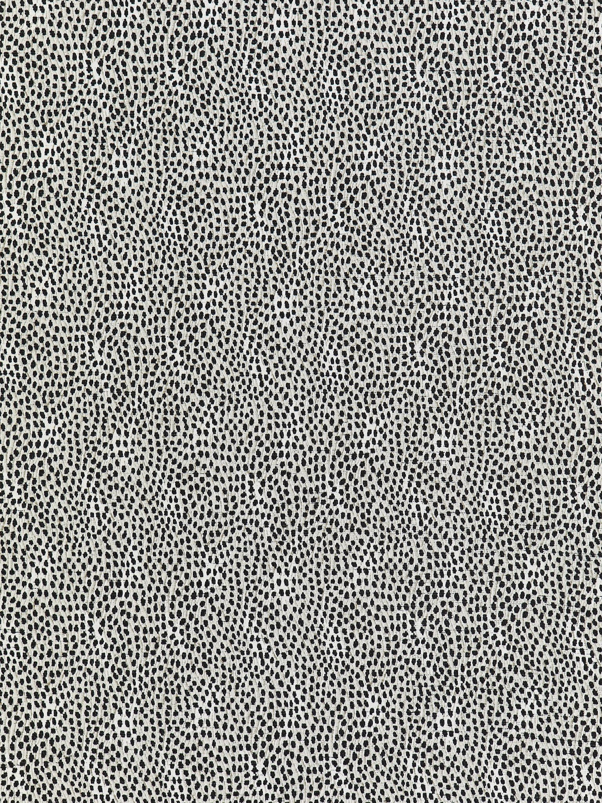 Scalamandre BI 00061234 SILHOUETTE FLURRY Fabric