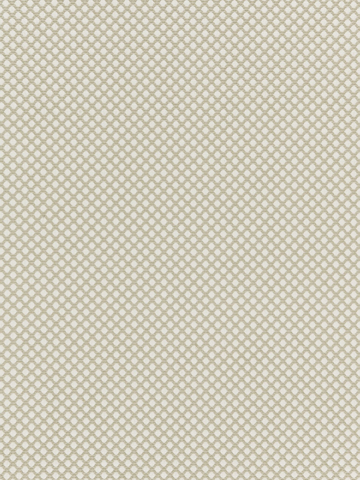 Scalamandre BK 0001K65121 FLAX BELLAIRE TRELLIS Fabric