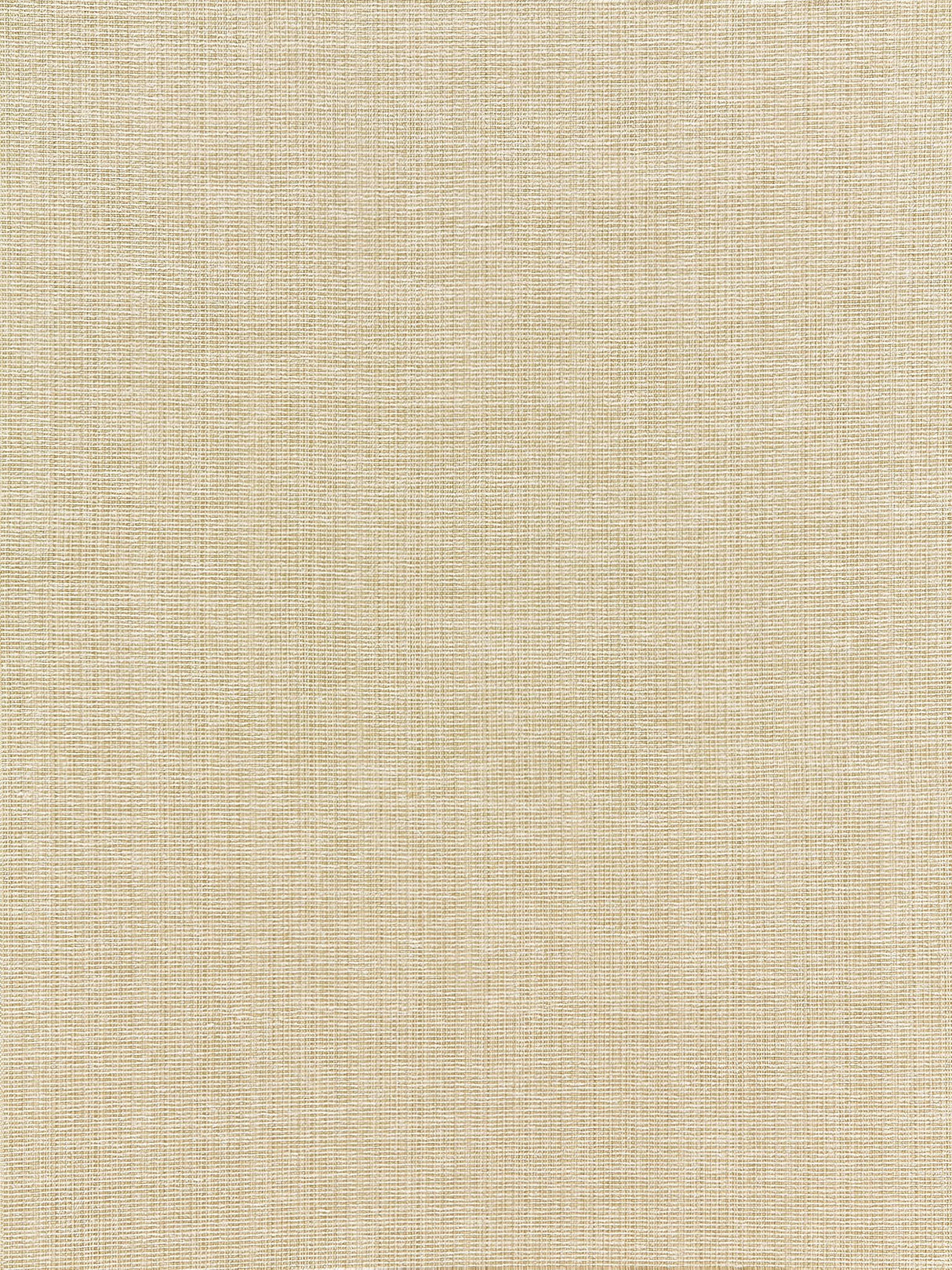 Scalamandre BK 0002K65114 WHEAT THOMPSON CHENILLE Fabric