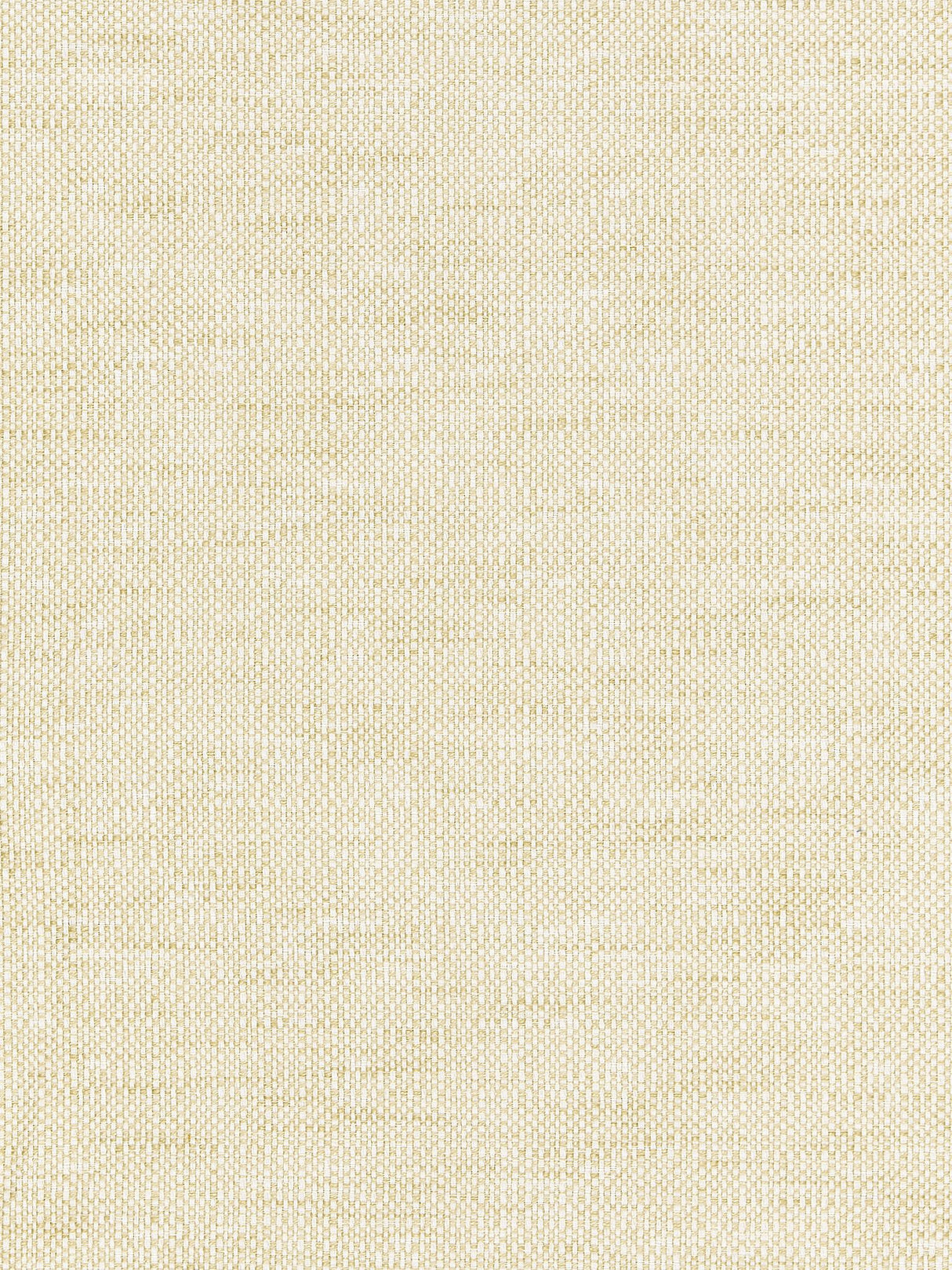 Scalamandre BK 0002K65118 SAHARA CHESTER WEAVE Fabric