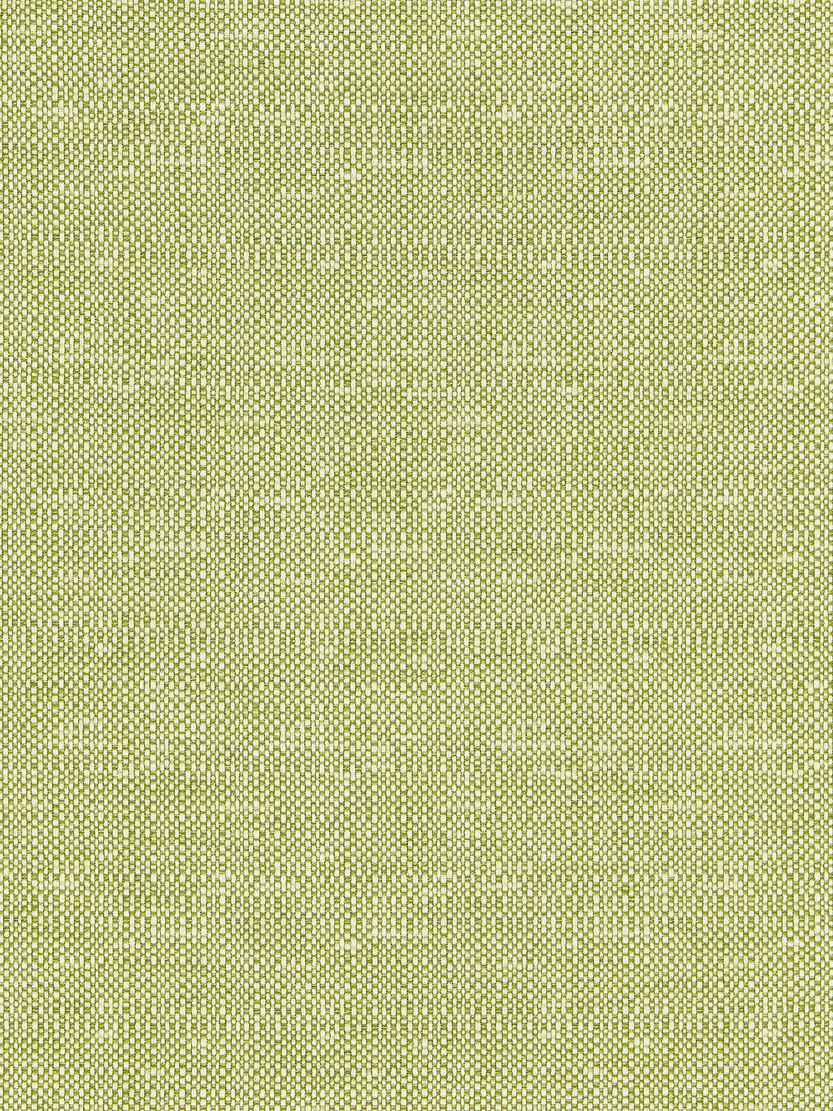 Scalamandre BK 0004K65118 LEAF CHESTER WEAVE Fabric