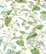 York BL1711 Moon Flower White Wallpaper