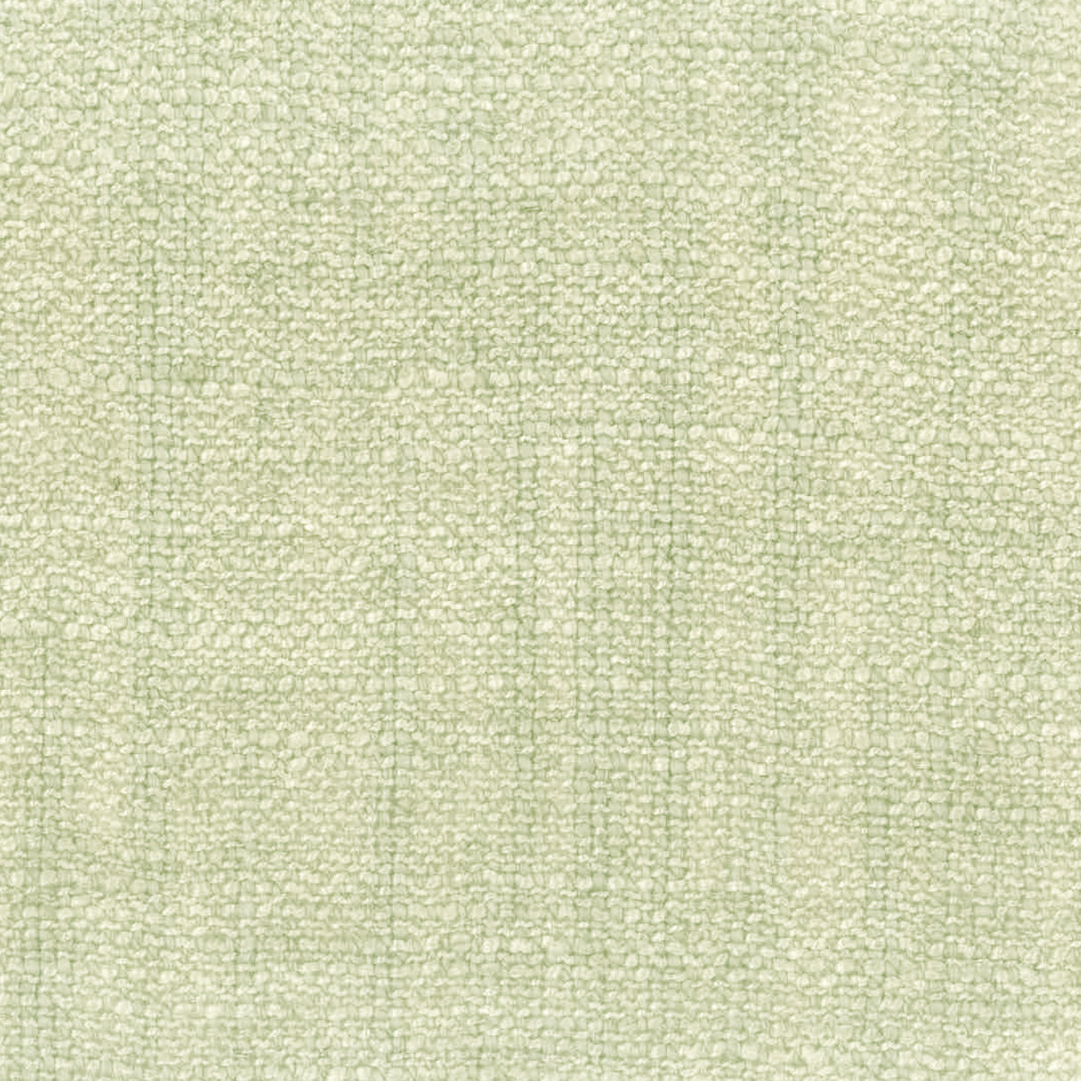 Eade's BOGA-3-sample MUSHROOM