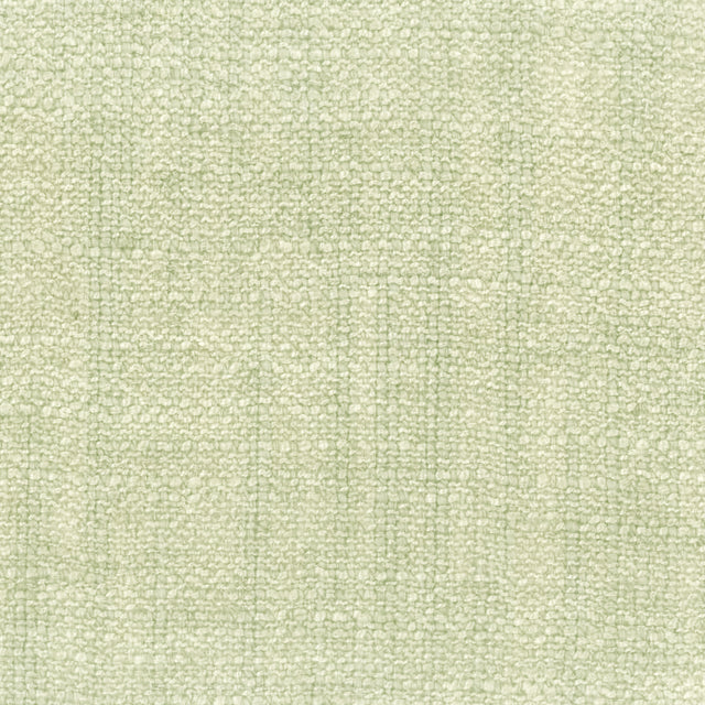 Eade's BOGA-3-sample MUSHROOM