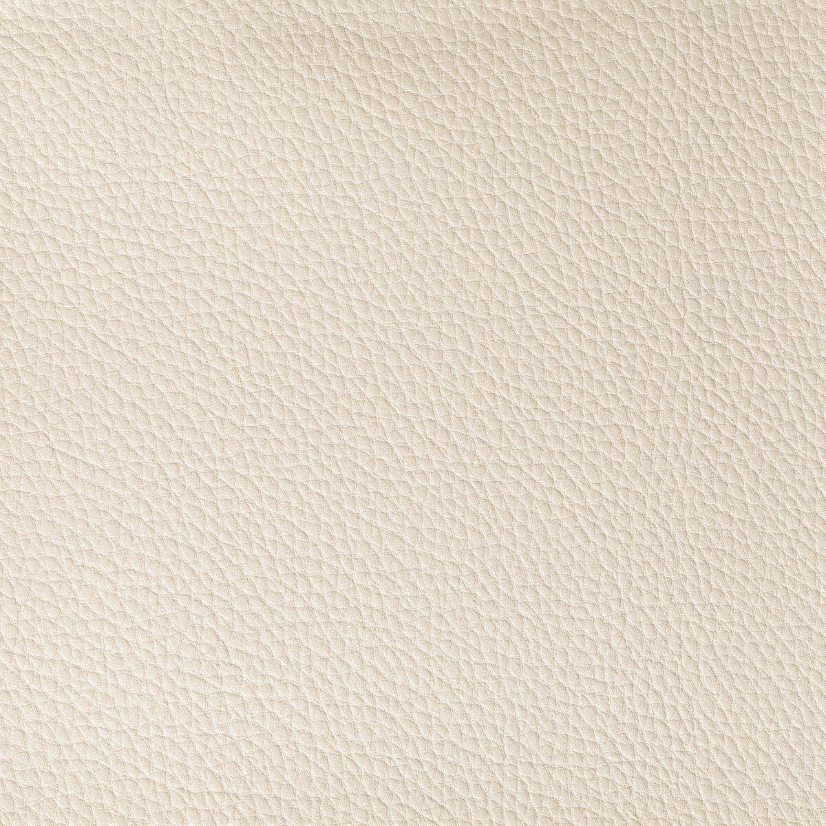 KRAVET CONTRACT BOONE.116.0 BOONE CONCH Fabric - Eade's Wallpaper