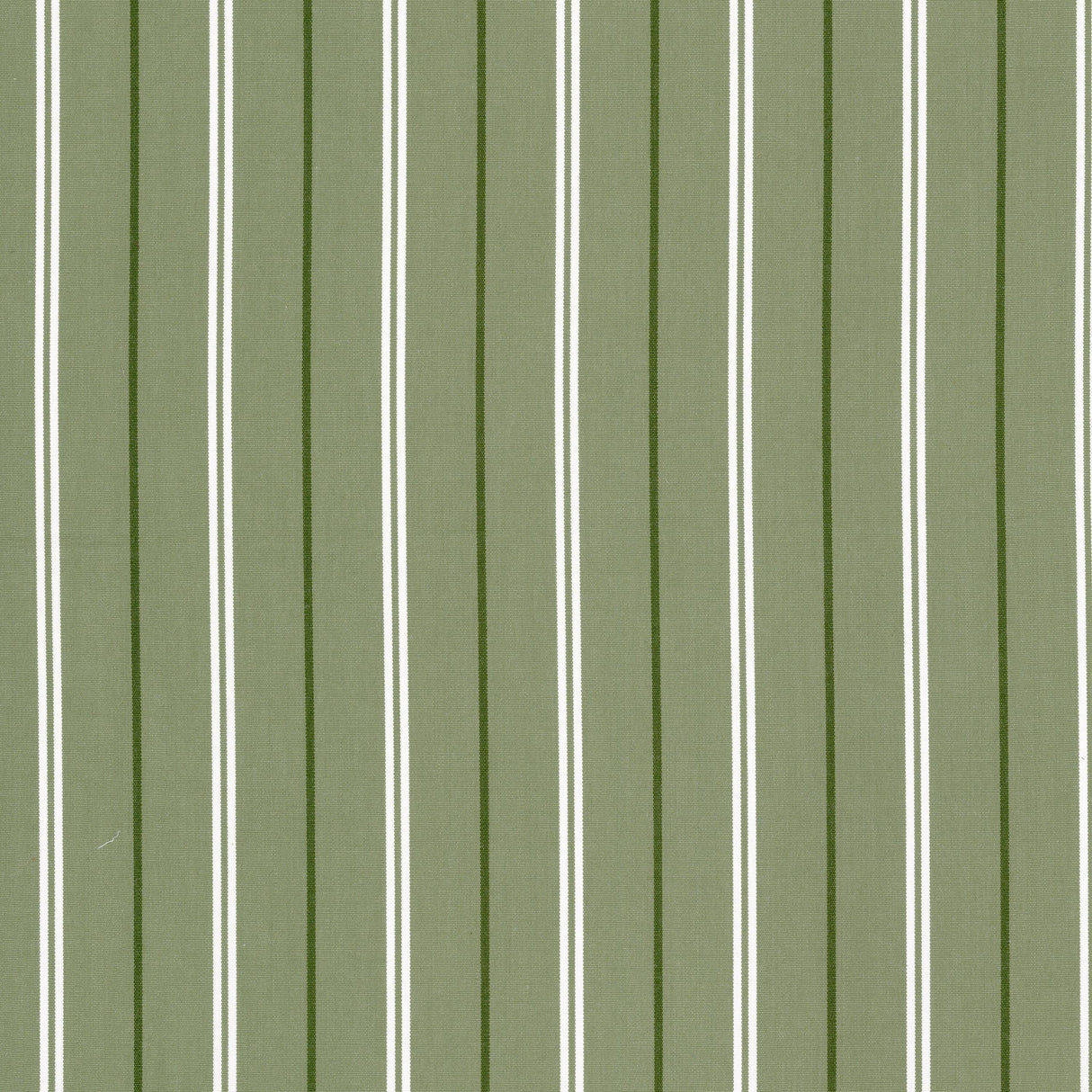STOUT BORE-1 BORETTI 1 PISTACHIO Fabric - Eades Wallpaper & Fabric