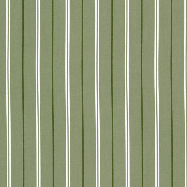 STOUT BORE-1 BORETTI 1 PISTACHIO Fabric - Eades Wallpaper & Fabric