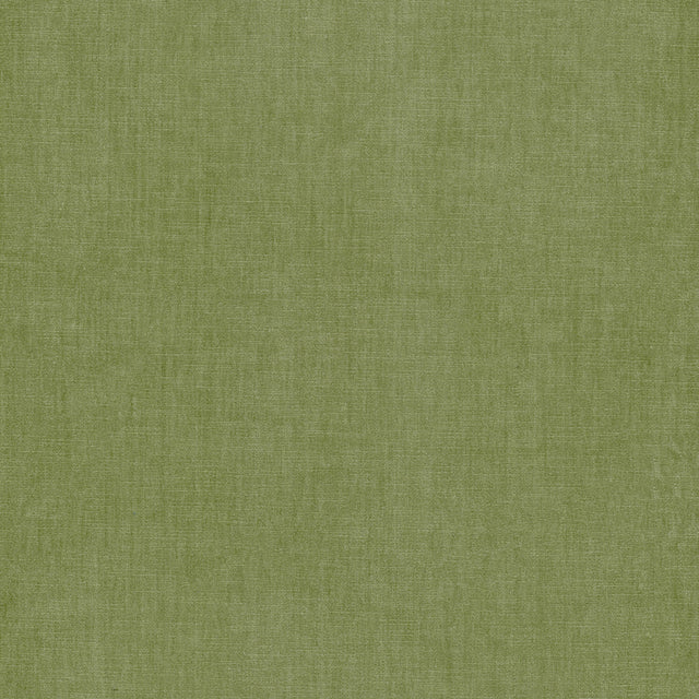 Eade's BOUN-1-sample PISTACHIO