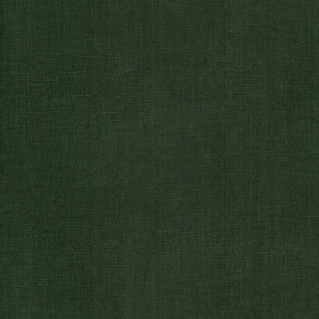 Eade's BOUN-28-sample JUNGLE