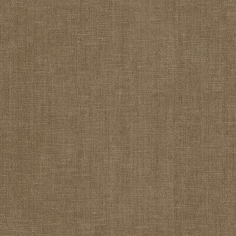 Eade's BOUN-33-sample RAFFIA