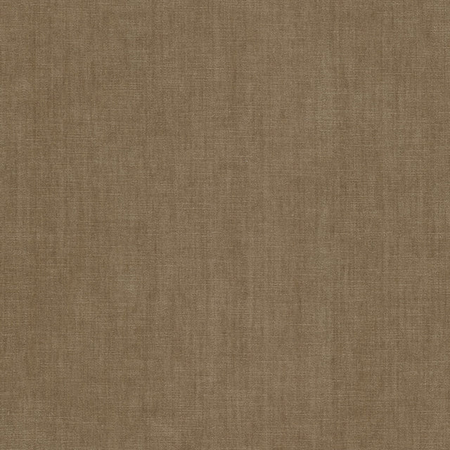 Eade's BOUN-33-sample RAFFIA