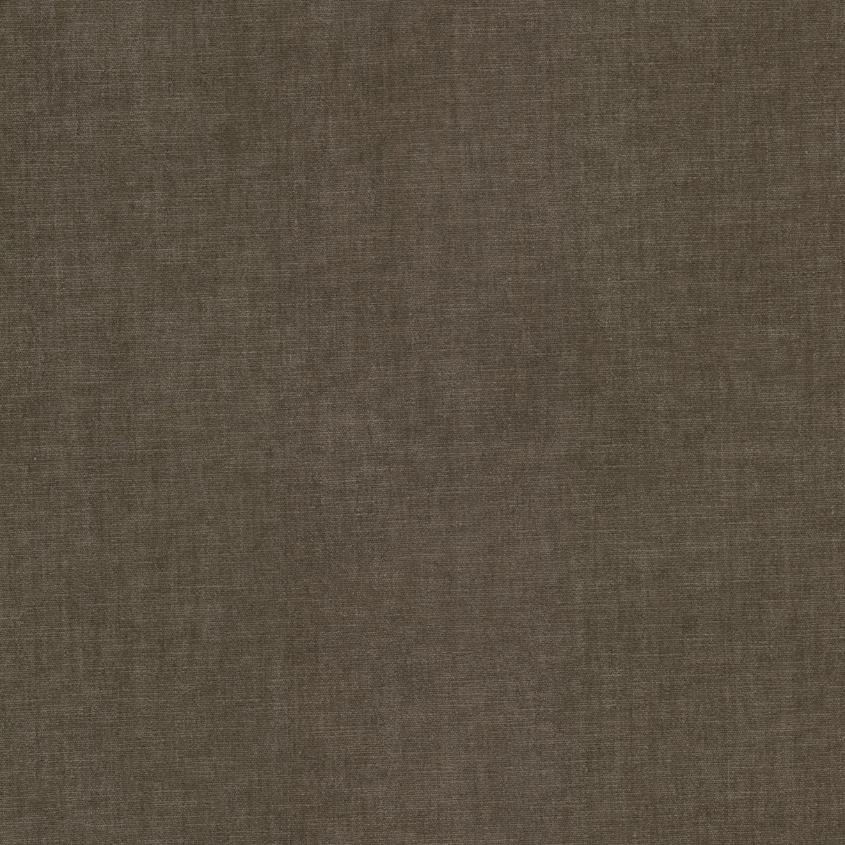 Eade's BOUN-39-sample TWIG