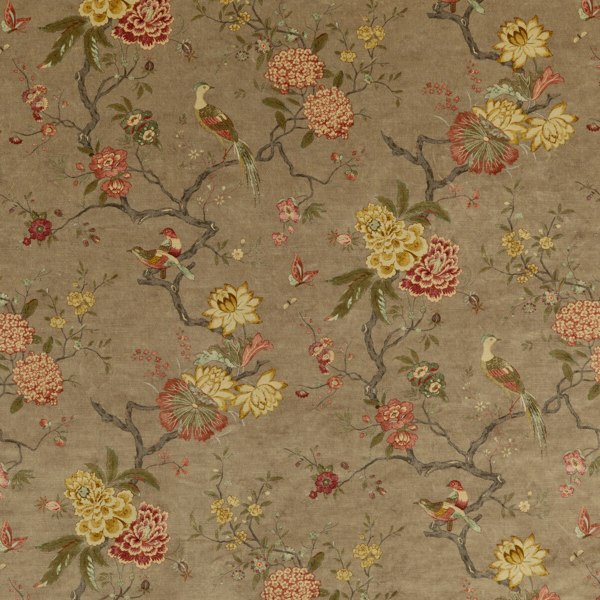 G P & J BAKER BP10818.1.0 ORIENTAL BIRD VELVET MOLE Fabric - Eade's Wallpaper
