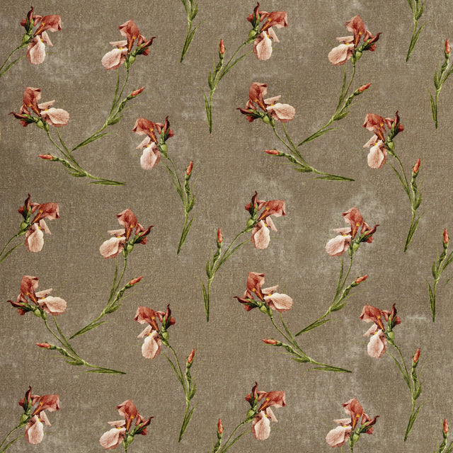 G P & J BAKER BP10819.1.0 BAKER IRIS MOLE Fabric - Eade's Wallpaper