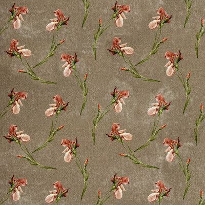 G P & J BAKER BP10819.1.0 BAKER IRIS MOLE Fabric - Eade's Wallpaper