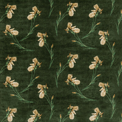 G P & J BAKER BP10819.2.0 BAKER IRIS EMERALD Fabric - Eade's Wallpaper