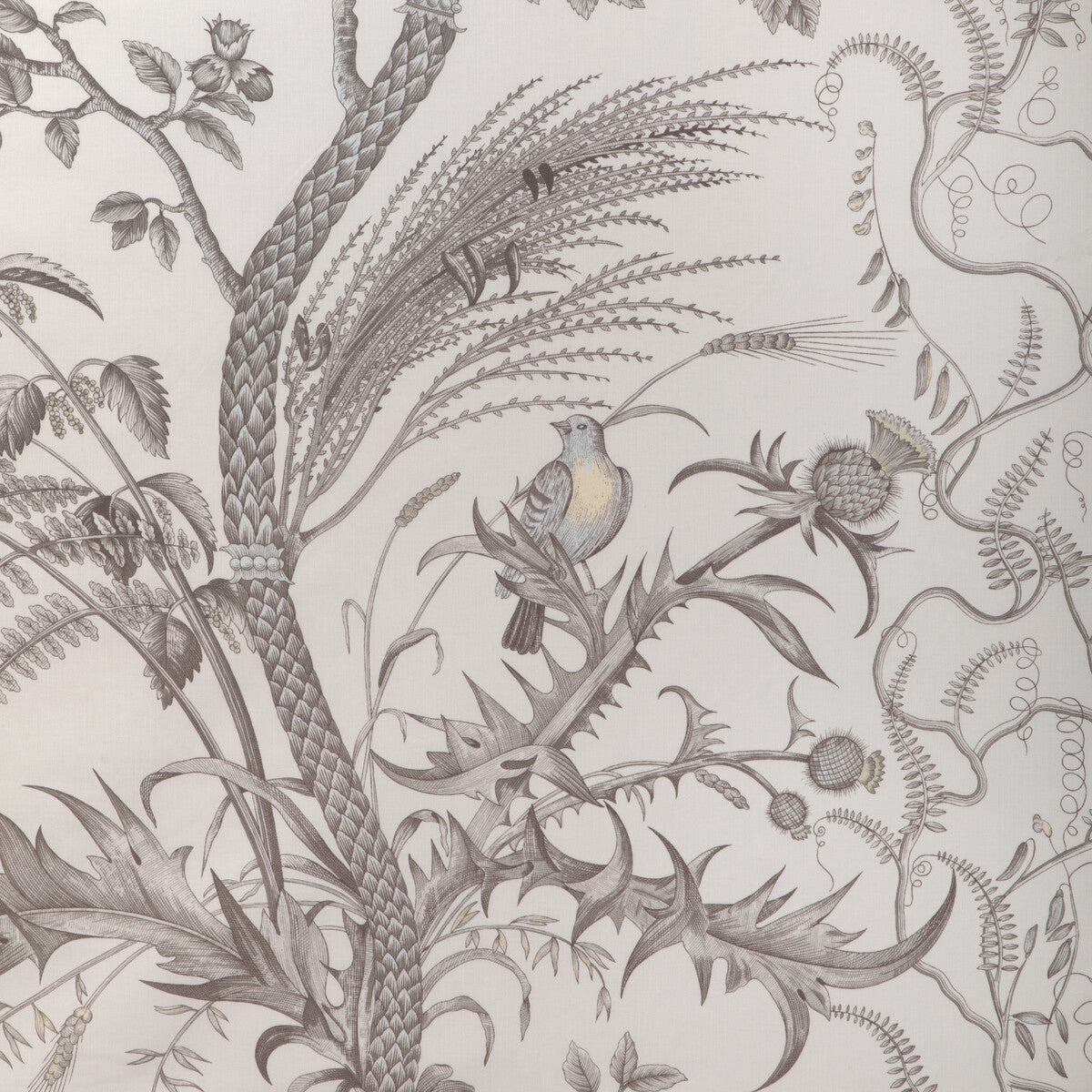 BRUNSCHWIG & FILS BR-79431.11.0 BIRD AND THISTLE COTTON PRINT GRAY Fabric - Eade's Wallpaper