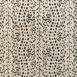 BRUNSCHWIG & FILS BR-79585.970.0 LES TOUCHES COTTON PRINT BLACK Fabric - Eade's Wallpaper