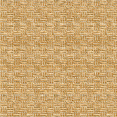 BRUNSCHWIG & FILS BR-800043.063.0 REED TEXTURE BISCUIT Fabric - Eade's Wallpaper