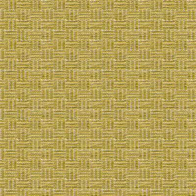 BRUNSCHWIG & FILS BR-800043.405.0 REED TEXTURE LICHEN Fabric - Eade's Wallpaper