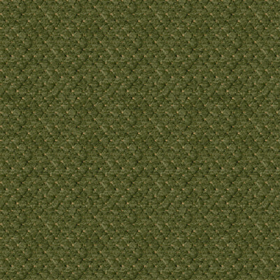 BRUNSCHWIG & FILS BR-800045.434.0 SOLITAIRE TEXTURE AVOCADO Fabric - Eade's Wallpaper