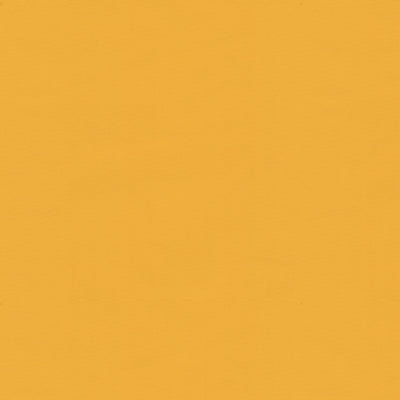 BRUNSCHWIG & FILS BR-81081.346.0 NINON TAFFETAS SUNBURST Fabric - Eade's Wallpaper