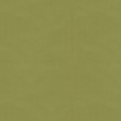 BRUNSCHWIG & FILS BR-81081.489.0 NINON TAFFETAS FERN Fabric - Eade's Wallpaper