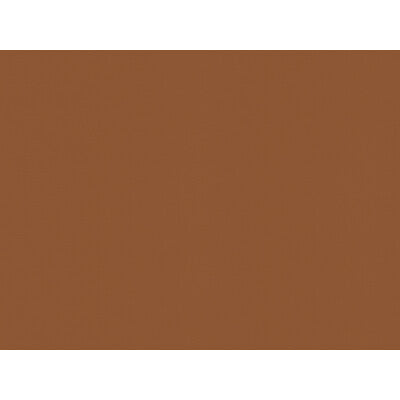 BRUNSCHWIG & FILS BR-81081.6.0 NINON TAFFETAS HAZELNUT Fabric - Eade's Wallpaper