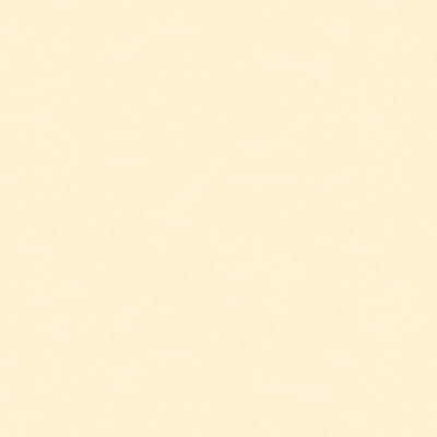 BRUNSCHWIG & FILS BR-81081.A.0 NINON TAFFETAS BLANC Fabric - Eade's Wallpaper