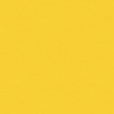BRUNSCHWIG & FILS BR-81081.J.0 NINON TAFFETAS JAUNE Fabric - Eade's Wallpaper