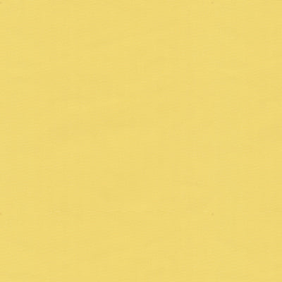 BRUNSCHWIG & FILS BR-81081.JJI.0 NINON TAFFETAS JAUNE Fabric - Eade's Wallpaper