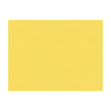 BRUNSCHWIG & FILS BR-81081.K.0 NINON TAFFETAS JAUNE Fabric - Eade's Wallpaper