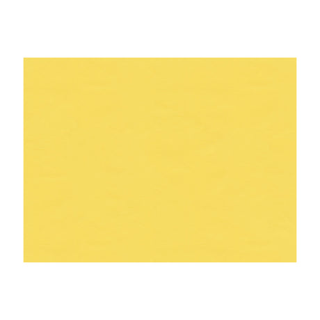 BRUNSCHWIG & FILS BR-81081.K.0 NINON TAFFETAS JAUNE Fabric - Eade's Wallpaper