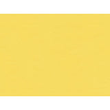 BRUNSCHWIG & FILS BR-81081.K.0 NINON TAFFETAS JAUNE Fabric - Eade's Wallpaper