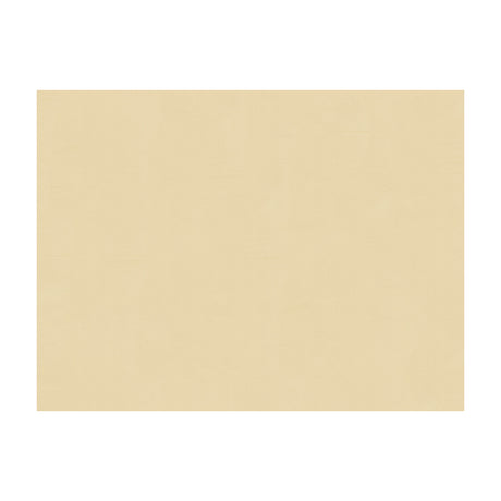 BRUNSCHWIG & FILS BR-81081.NNA.0 NINON TAFFETAS GRIS Fabric - Eade's Wallpaper