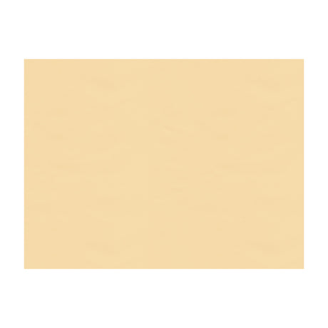 BRUNSCHWIG & FILS BR-81081.PPA.0 NINON TAFFETAS BEIGE Fabric - Eade's Wallpaper