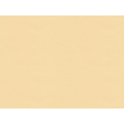 BRUNSCHWIG & FILS BR-81081.PPA.0 NINON TAFFETAS BEIGE Fabric - Eade's Wallpaper