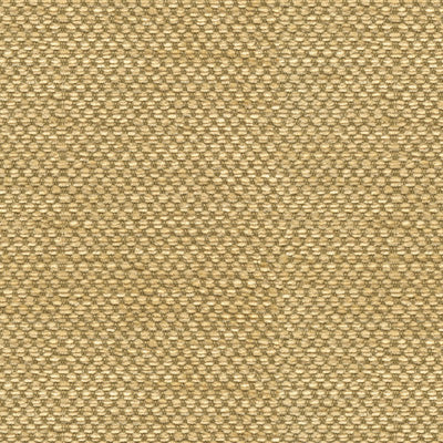 BRUNSCHWIG & FILS BR-81782.334.0 YORKE CHENILLE GOLD WITH BEIGE Fabric - Eade's Wallpaper